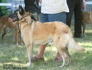 maski du van lappeenranta Vishnu
