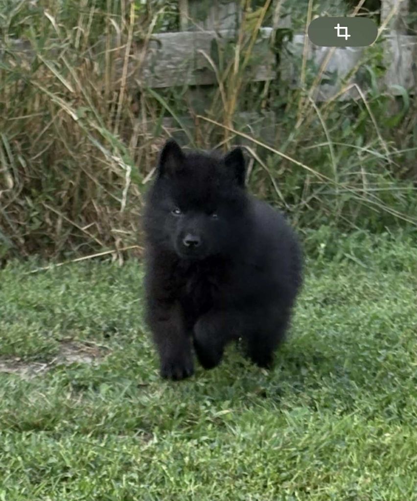 Akelle est jolie des perles noires