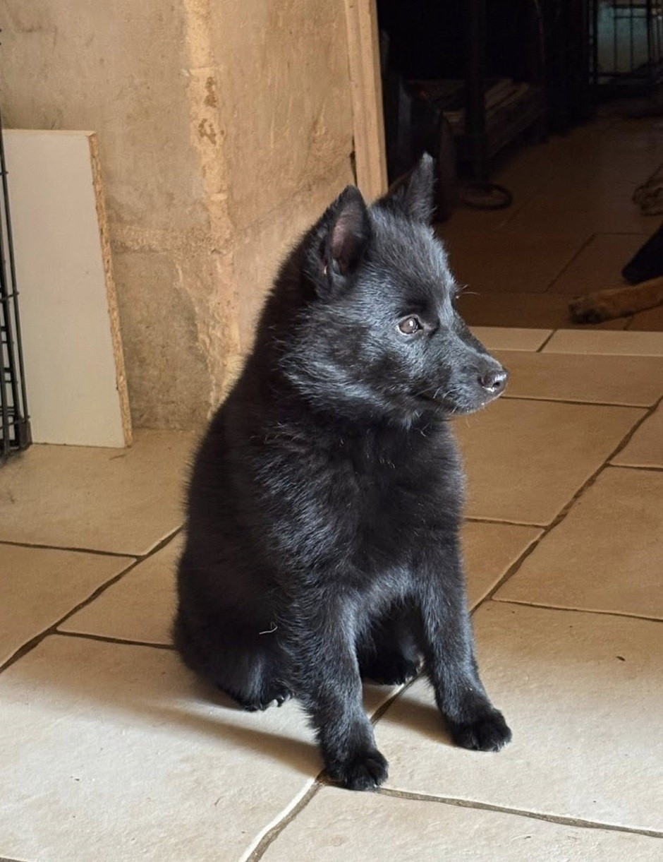 Akelle est jolie des perles noires