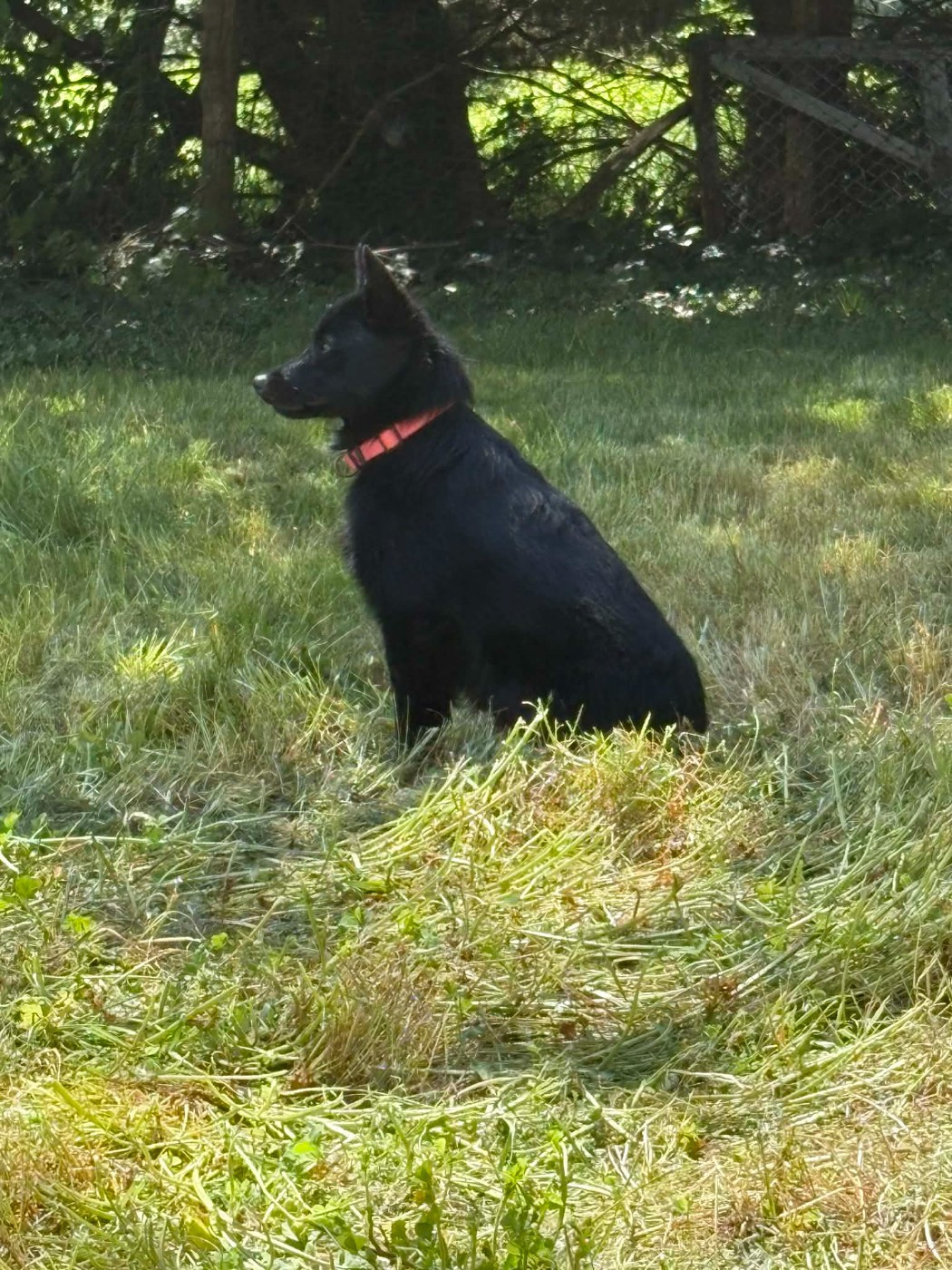 Akelle est jolie des perles noires