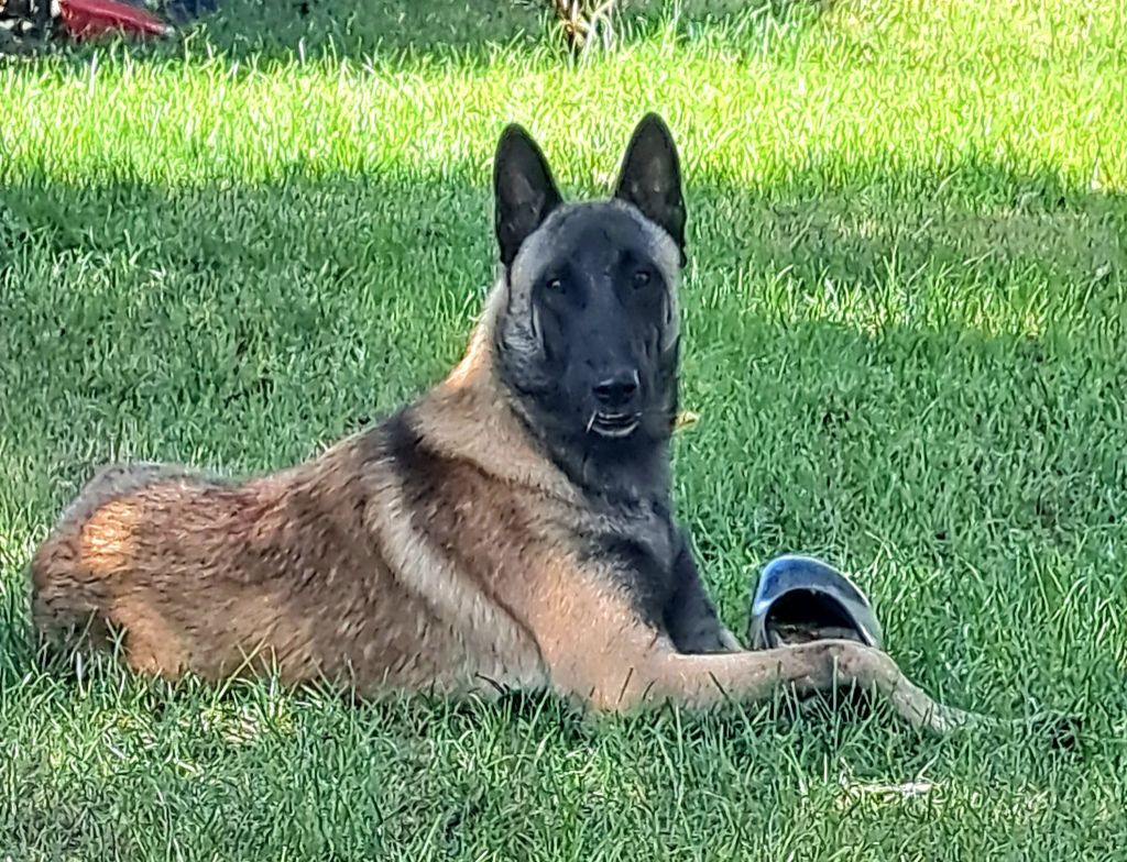 winalmik's His majesty