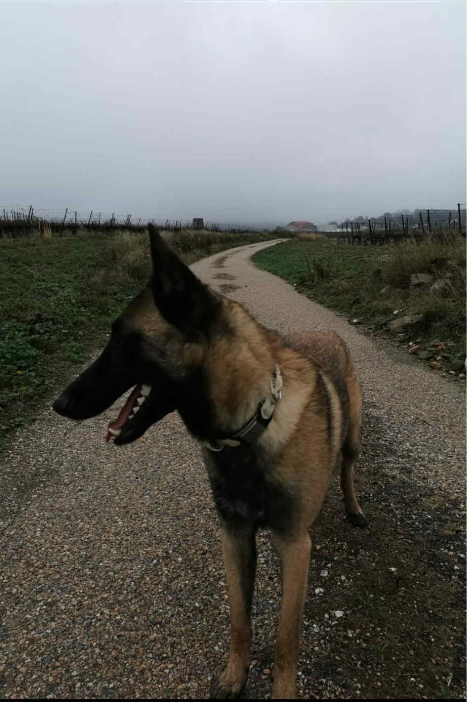 maski du van lappeenranta Viktoriia