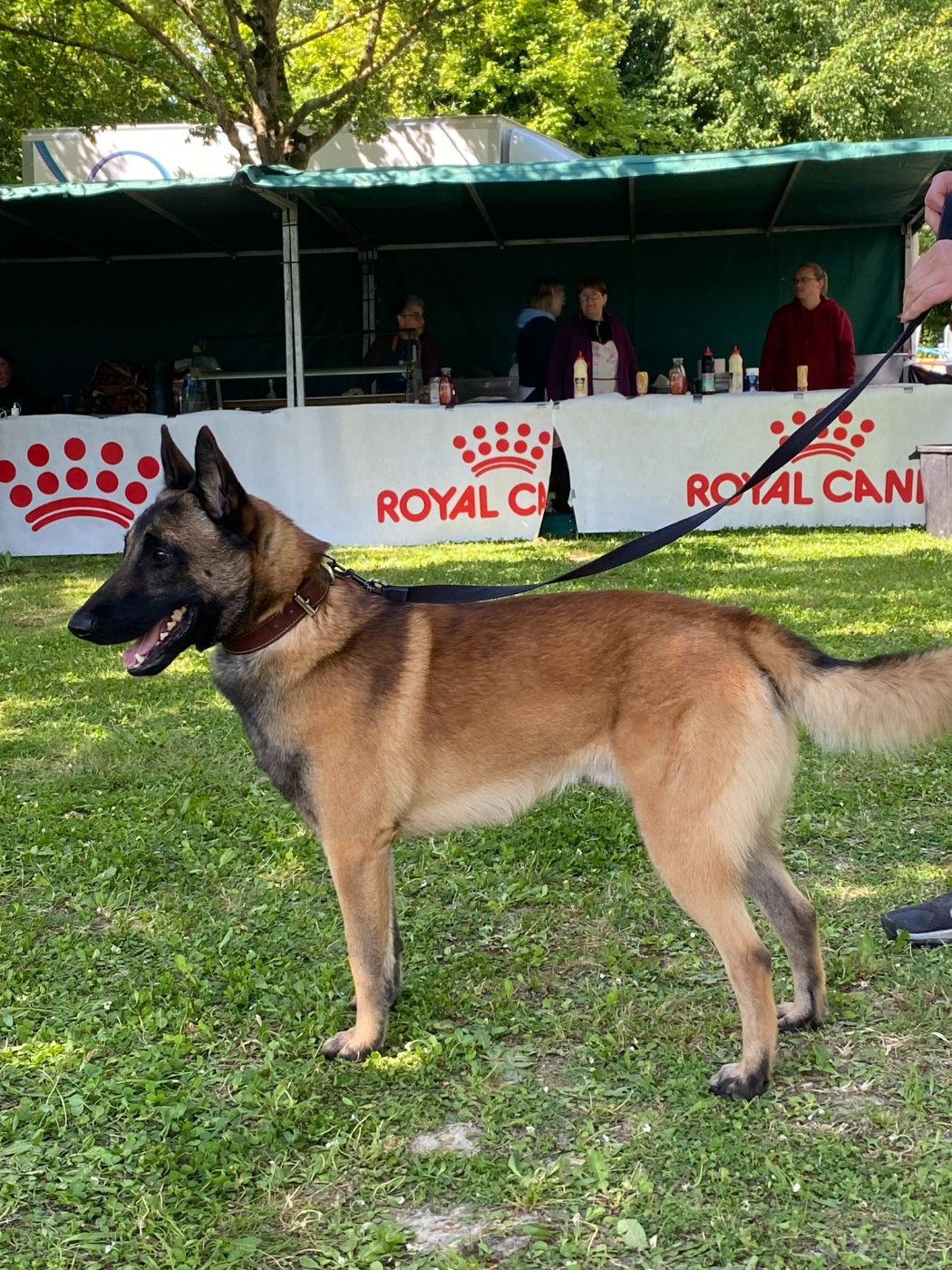 maski du van lappeenranta Uzi