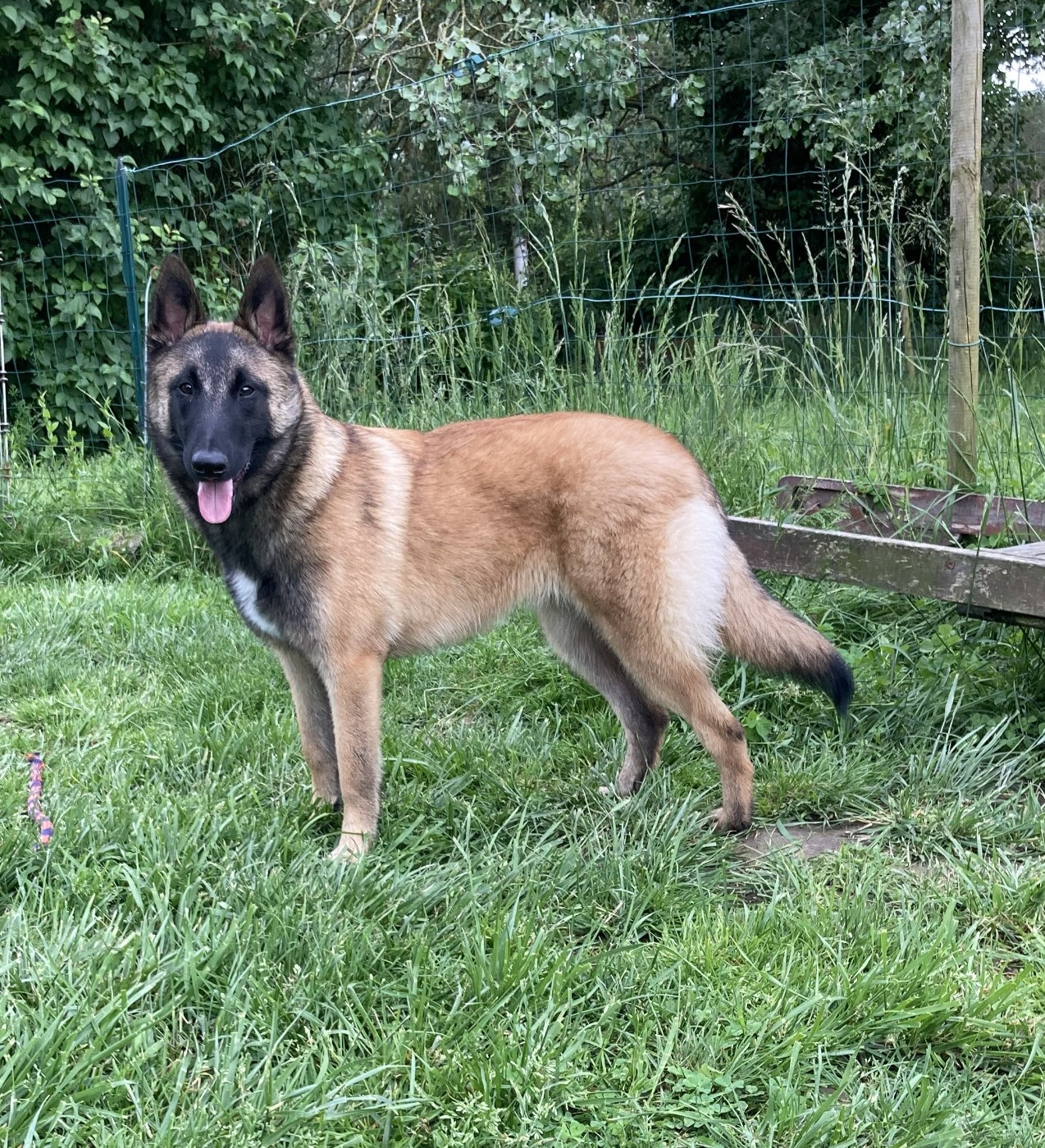 maski du van lappeenranta - Exposition Internationale de Chateauroux